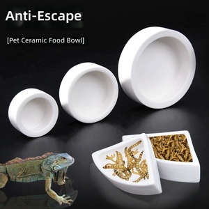 Plato de Cerámica para Reptiles, Comedero Anti-Escape para Lagartos, Geckos, Dragones Barbudos, Camaleones, Cangrejos Ermitaños - Product Image 1