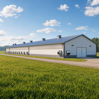Bâtiment industriel préfabriqué en structure légère isolée en acier pour poulailler, avec ossature en acier galvanisé à chaud haute résistance