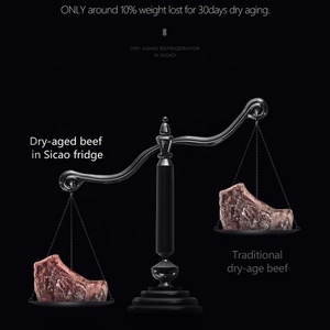 ตู้แช่เนื้อสเต็กแบบแห้ง SICAO อุปกรณ์จัดเลี้ยง ซาลามิ เครื่องทำความเย็นสำหรับเนื้อวัว ตู้แช่เนื้อแบบแห้ง - Product Image 5