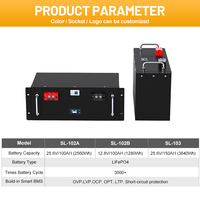 بطارية ليثيوم أيون شمسية متعددة الأغراض ، حزمة بطارية LiFePO4 بجهد 100v 2560Wh