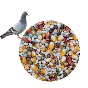 Mélange Alimentaire <span class=keywords><strong>de</strong></span> Gros Équilibre Sportif pour Jeunes Pigeons : Pois, Millet, <span class=keywords><strong>Graines</strong></span> <span class=keywords><strong>de</strong></span> Tournesol, <span class=keywords><strong>Graines</strong></span> d'Alpiste et Sorgho Séchés - Product Image 1
