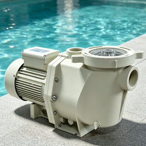 Pompe de filtration d'eau à vitesse unique de type Pentair pour piscine, 110V/220V, fournie par l'usine - Product Image 2