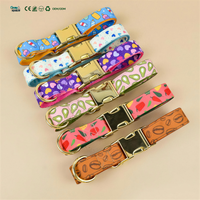 Ensemble collier et laisse pour chien avec motif imprimé personnalisé en usine, kit d'accessoires pour animaux de compagnie entièrement assorti pour chiens et chats, vente en gros