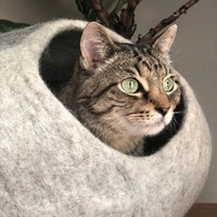 Cadeau d'anniversaire pour chat, lit pour chat en feutre respirant et anti-odeurs, en laine mérinos entièrement naturelle et écologique