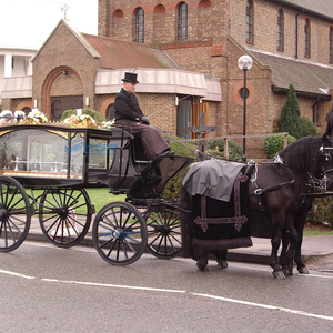 Carroza Fúnebre Negra Tirada por Caballos, Transporte Especial, Venta Directa de Fábrica - Product Image 6