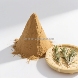 <span class=keywords><strong>Gmp</strong></span> chứng nhận cấp thực phẩm Lâm suốt-sức mạnh Hương thảo lá chiết xuất 2.5% 65% có thể điều chỉnh rosmarinic axit nội dung bột hình thức - Product Image 3