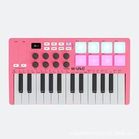 Tastiera Elettronica Professionale MIDI USB a 25 Tasti in Metallo, Pad Portatile Intelligente per Arrangiamenti con 101-200 Toni