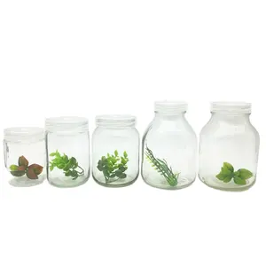 240 مللي إلى 670 مللي فارغة الزجاج البذور النباتية زراعة الأنسجة جرة مع غطاء بلاستيكي