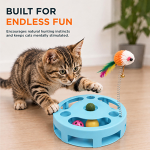 Nouveau Jouet pour animaux de compagnie : Plateau tournant creux multifonctionnel, jouet éducatif et anti-stress pour chat, avec teaser pour chat - Product Image 6