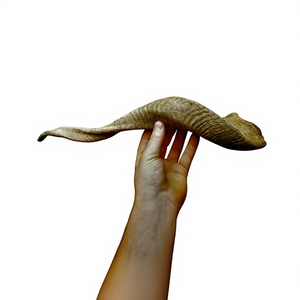 Shofar artisanal en corne de bélier naturelle, instrument brut au toucher authentique, artisanat religieux traditionnel et décoration intérieure - Product Image 4