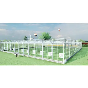 Large Multi-Span Greenhouse System For Agricultural Equipment For Efficient Greenhouse Management