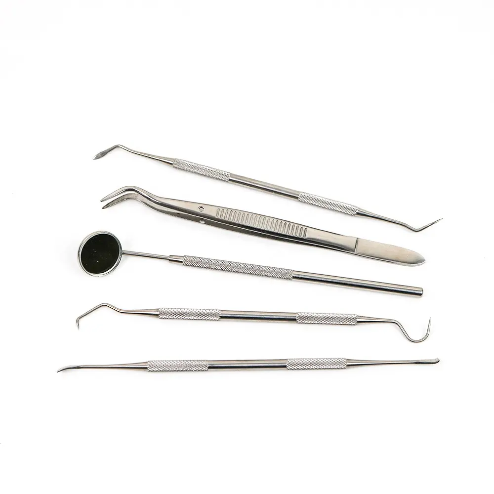 Professional Dental Stainless Steel Teeth Cleaning Dentist Handle Tool Set Oral Care Instrument