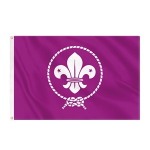 Drapeau personnalisé des Scouts du Monde 3x5 pieds en polyester, vente en gros d'usine, bannière de camping Fleur de Lys pour l'extérieur - Product Image 1