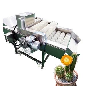 Hay diferentes modelos disponibles Nopal Fig Dethorning Machine Máquina de limpieza de frutas - Product Image 4