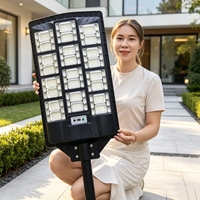 Lampadaires LED décoratifs de jardin tout-en-un, étanches IP67, alimentés par batterie, 500W, 1000W, 1500W, pour l'éclairage routier extérieur