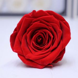 Venta superior, Envío listo para el U-3206, regalos de San Valentín, <span class=keywords><strong>una</strong></span> flor de <span class=keywords><strong>Rosa</strong></span> preservada real de grado para siempre - Product Image 5