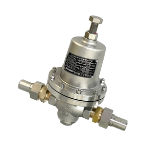 Régulateur de gaz liquéfié cryogénique manuel en acier inoxydable DYS20A DN20, fourni par l'usine, OEM pour stockage en vrac DYS - Product Image 3