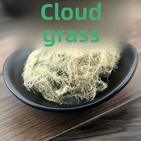 Usnea Kering Premium (Jenggot Orang Tua) 1000g Obat Herbal Alami untuk Batuk & Dukungan Imunitas Grosir