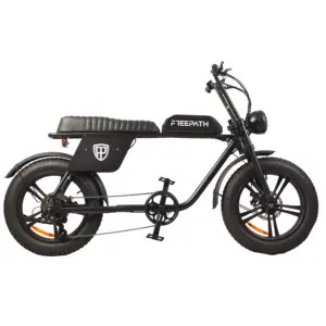 20 inch aluminum frame electric bicycle 48V 750W brushless motor super power 73 model two seats E bike fatbike electrische