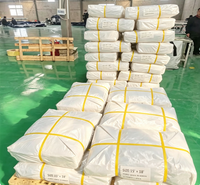 Rouleau de bâche enduite imperméable anti-UV de qualité industrielle multi-usages, en PE robuste résistant à l'abrasion pour usage automobile