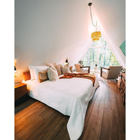 Maisonnette de luxe préfabriquée en bois de 20 pieds avec structure triangulaire en acier, pour logement forestier UE, avec salle de bain et salle de sport - En promotion