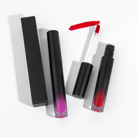 Gloss à lèvres liquide mat style occidental, non desséchant, résistant au transfert, vente en gros