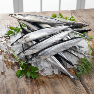 Sgombro del Pacifico Congelato Intero IQF Premium 200-300g Biologico a Basso Contenuto di Sale Confezione Bulk Pesce Saury Servizio OEM Fonte Marina Pulita - Product Image 1