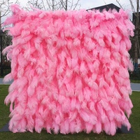 Panneau de toile de fond photo en plumes d'autruche durables, enroulable, en tissu, avec plumes blanches, pour décoration murale de baby shower et photobooth - Grande Vente