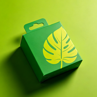 Boîte d'emballage personnalisée pour la vente au détail avec languette de suspension pour écouteurs, accessoires mobiles et présentation de produits électroniques