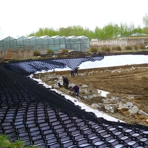 150mm 질감 및 천공 HDPE 지오 셀 침식 제어 슬로프 보호를 위한 플라스틱 진입로 그리드 자갈