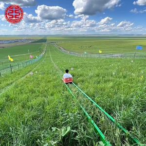 Grand toboggan extérieur sur herbe, ski alpin, toboggan extrême, équipement d'amusement non motorisé, toboggan sec, toboggan arc-en-ciel sur herbe - Product Image 2