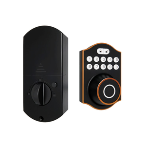 中国製指紋認証WiFiスマートロック（木製/スチール/ステンレス鋼ドア用、Tuyaアプリ制御対応）PST-D6-<span class=keywords><strong>WF</strong></span> - Product Image 1