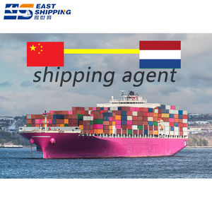 Livraison fiable DDP porte-à-porte Expédition de fret maritime express <span class=keywords><strong>Pays</strong></span>-<span class=keywords><strong>Bas</strong></span> Suivi en temps réel Dédouanement compétitif - Product Image 1