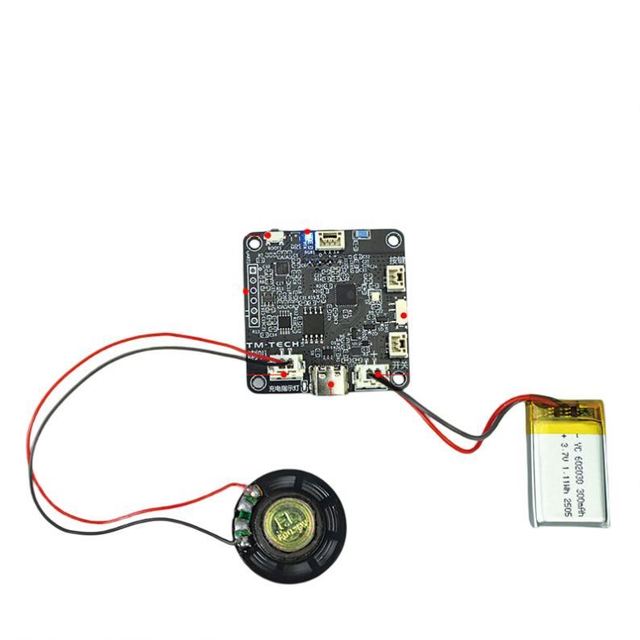 ESP32 Stock AI Xiaozhi Voice Assistant Interactive Robot Development Board Kit Deepseek Learning Module DP-TM-0262
