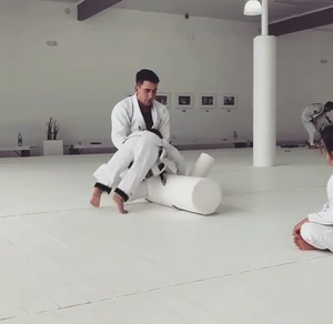 Bán Hàng Nóng MMA Đào Tạo Và Judo Thể Dục Chiến Đấu Dummy Đấu Vật Đục Lỗ Túi Judo Kung Fu - Product Image 5