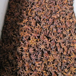 Phalco เวียดนามดาว ANISEED ไม่มีลำต้น (พืชฤดูใบไม้ร่วง) - Product Image 1