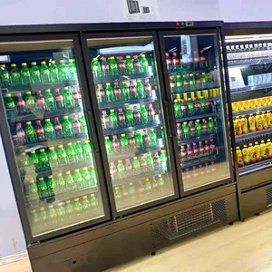 Berjaya bevanda frigorifero utilizzato display ghiaccio chiller di raffreddamento