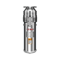 Fontaine professionnelle QSP visualisation pompe Submersible 380V fontaine de Drainage des terres agricoles pompe Submersible