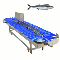 Spaanse Makreel Clow Trepang Rivierkreeft Kreeft Vis Meerdere Niveaus Sorteermachine Oester Garnalen Gewichtssorteermachine Sensor PLC Core 1