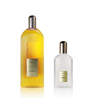 100ml 300ml Design Unique PETG forme à bande plate vide bouteille de Lotion de soins de la peau pour le corps shampoing de luxe emballage en plastique