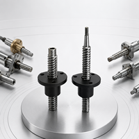 Conjunto de Tornillo de Bola Lineal CNC de Alta Precisión, Trapezoidal, de Acero Inoxidable Personalizado para Equipos de Automatización