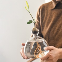 Jarrón de Vidrio Transparente Estético con Forma de Semilla de Aguacate, Florero Simple para Arreglos Florales Modernos en el Hogar