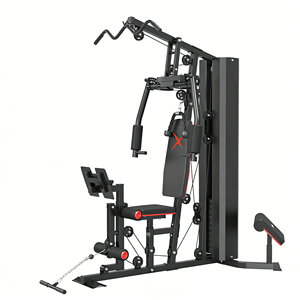 Panca Multifunzione per Palestra Domestica in Acciaio Resistente per Allenamento Pettorali - Attrezzatura Portatile per Esercizi Indoor - Product Image 2