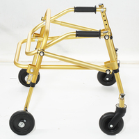 CT8331L-M Déambulateur léger professionnel pour enfants atteints de paralysie cérébrale, design pliable de type rollator