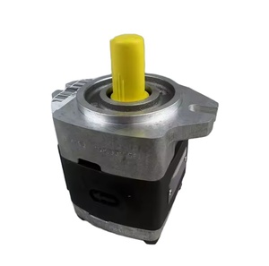 Pompe à engrenages interne hydraulique IPV IPVP IPV 4-13 171 IPV 5-50 101 IPV6/80/101 IPN 6/5-125/100-101 IPV 4-13/171 - Product Image 1