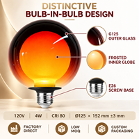 Ampoule LED G40 G125 à double ampoule, nouveau design, verre clair givré, 120V E26, sans scintillement, verre fumé, verre ambré, directement de l'usine
