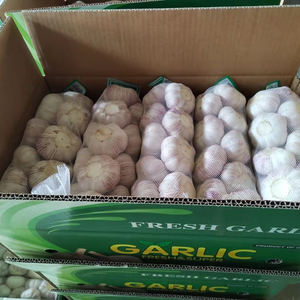 Offre Spéciale – Ail Frais Chinois Blanc Standard 5,0 cm, 1 kg x 10/carton – Prix de Gros Abordable - Product Image 4