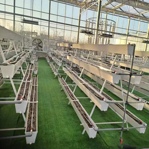 <span class=keywords><strong>Gouttière</strong></span> de plantation de fraises à faible coût - Product Image 3