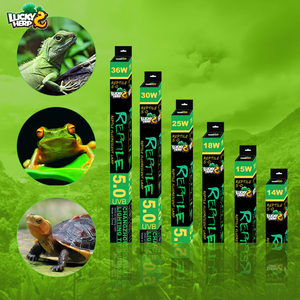 Nhà máy trực tiếp T5 8W & 24W Ống huỳnh quang Rừng Nhiệt Đới UVA & UVB ánh sáng cho các loài bò sát làm bằng thủy tinh có giá kinh tế - Product Image 3