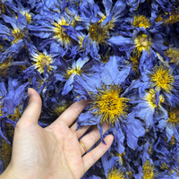 Fleurs de lotus bleues naturelles en gros, sélectionnées à la main, entières, séchées, de qualité supérieure, pour thé santé, thé en vrac, fournisseur en gros
